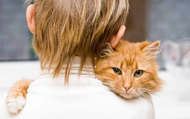 Квартал перед сносом