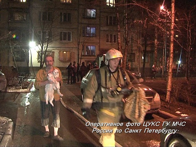 Полный репортаж о житие котов на Передовиков.Точнее спасение и возврат