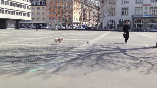 Медленно, медлеееенно....!!!