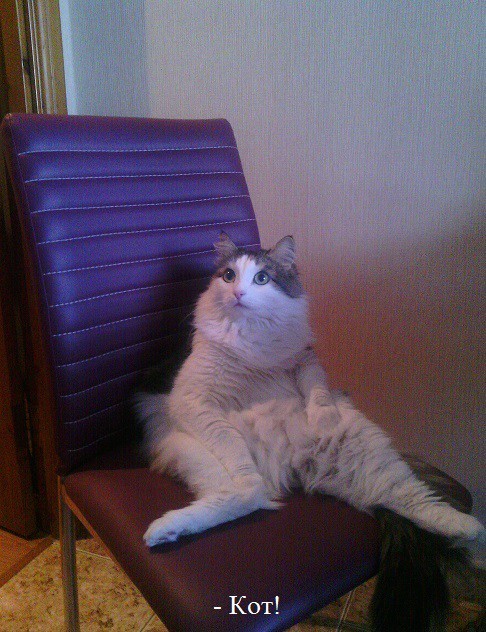 У меня к вам пренеприятнейшее известие