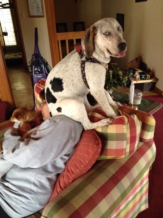 Фотоподборка за 28.03.2014