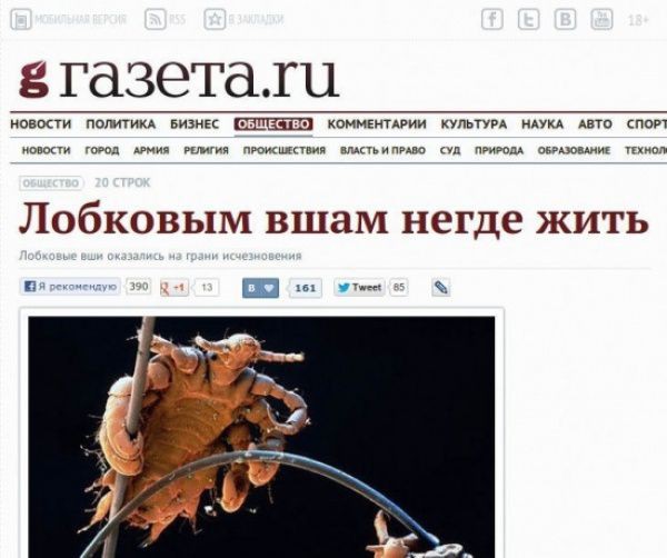 Заголовки новостей, один другого дебильней