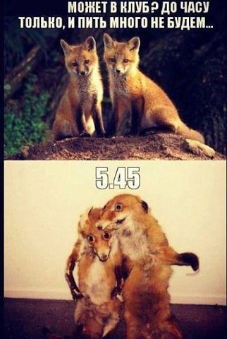 Может в клуб?!