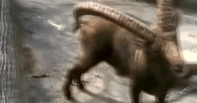 Лучшие приколы #1