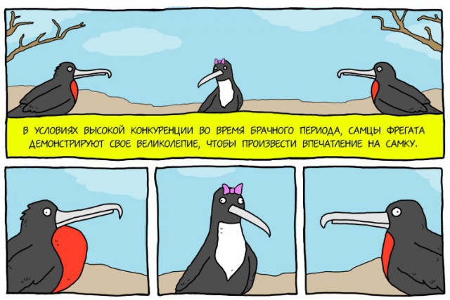 Все, как у людей...