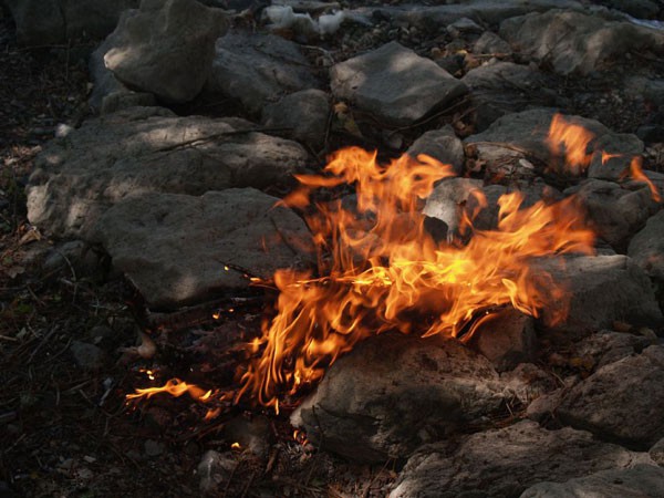 Скорей бы лето