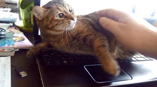 Маша против интернета 