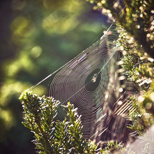 Прекрасные фотографии природы,подборка для души ;)