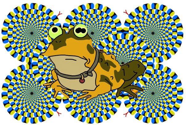 НЕ ВЕРЬ ГЛАЗАМ СВОИМ: ЛУЧШИЕ ЗРИТЕЛЬНЫЕ ИЛЛЮЗИИ