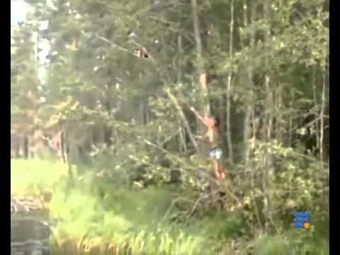 Как русский мужик кота спасал