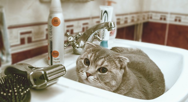 Бриться сегодня не буду!