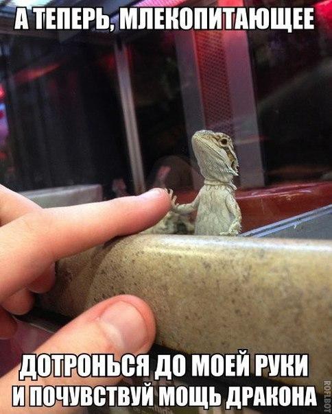 подборка прикольных картинок!