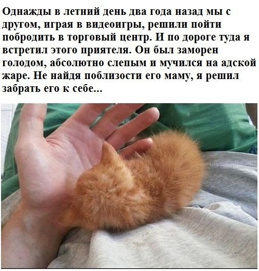 Минута доброты