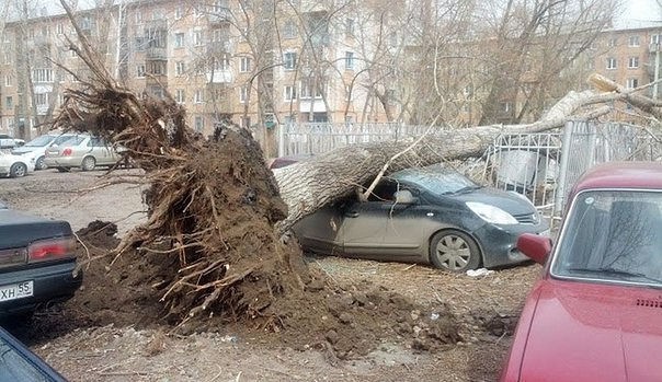 Сегодня Омичи прочувствовали на себе, что такое настоящий ураган ))