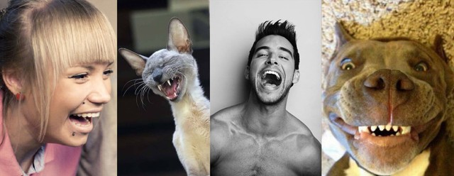 Истории из жизни или чего только в жизни не бывает