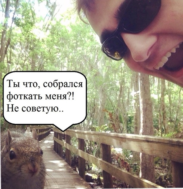 Неожиданное продолжение селфи с белкой