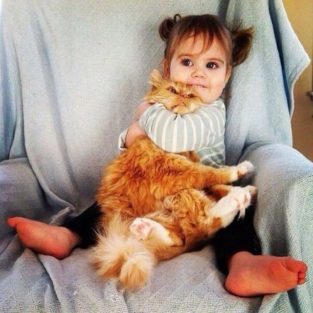 Фишкина солянка за 02.05.2014