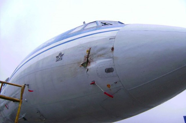 Столкновение самолета Ту-154м с гусем