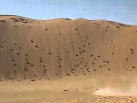 Маленький  и сильный пикап против песчаной горы