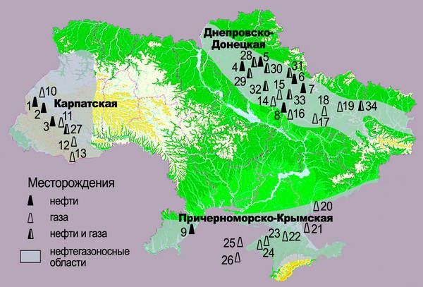 Война за черное золото 