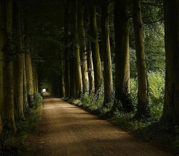 Красивые дороги