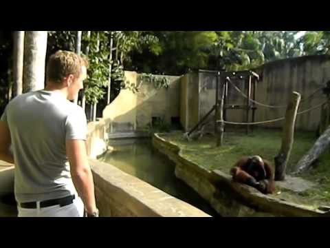 дерьмо, а не банан