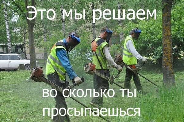 Фишкина солянка за 22.05.2014