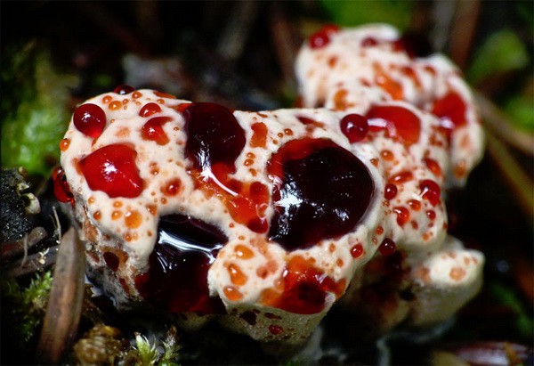 А вы знали, что...