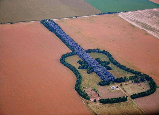 Лес в форме гитары в память о погибшей жене.