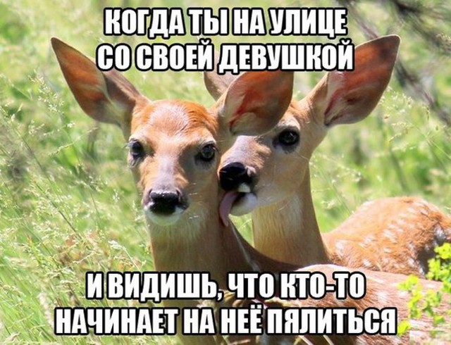 Фишкина солянка за 27.05.2014 