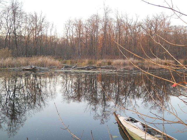 Ноябрь на Маяцком озере и попытка изготовления нодьи.