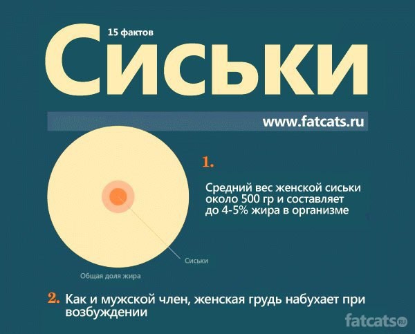 Инфографика женской груди