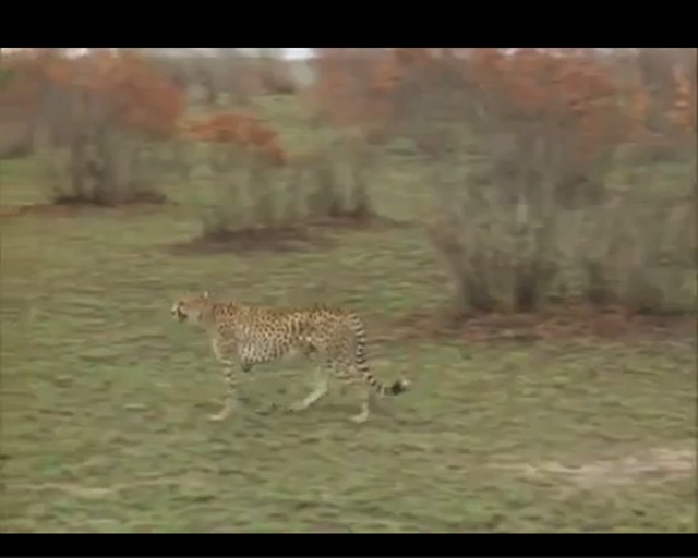  Вот это поворот))))