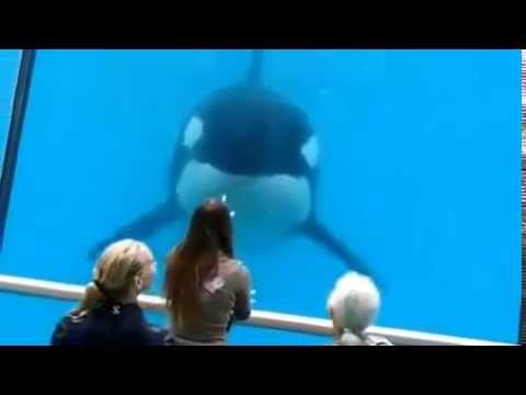 Любовь - она такая!!! 