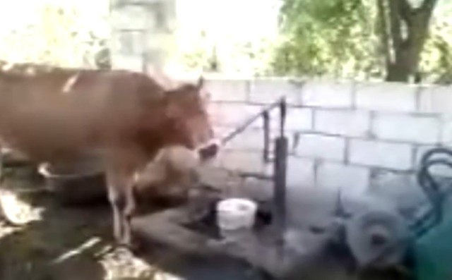 Лучшие приколы #14