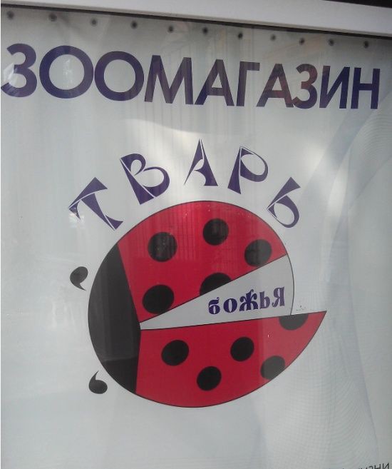 Великие маразмы