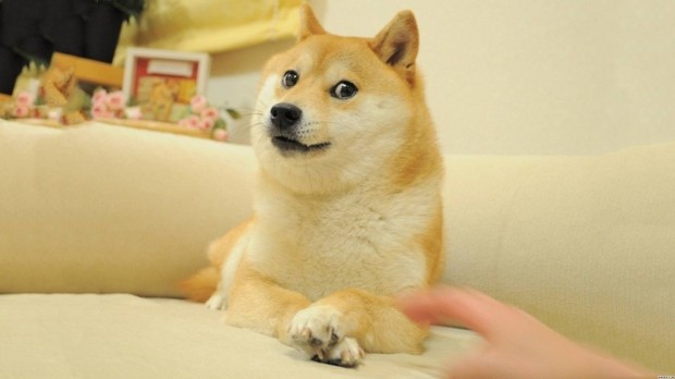 Вирусные герои интернета 