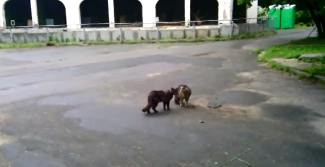 Серьезная беседа