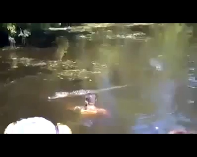  Потрясающее шоу в парке! Туристы были в шоке!