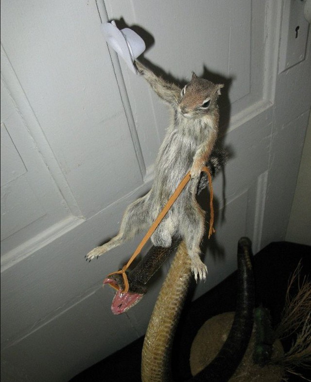 Доминируй, властвуй, унижай!