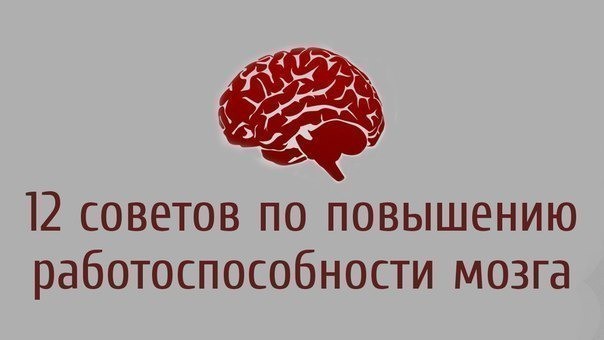 12 советов по повышению работоспособности мозга