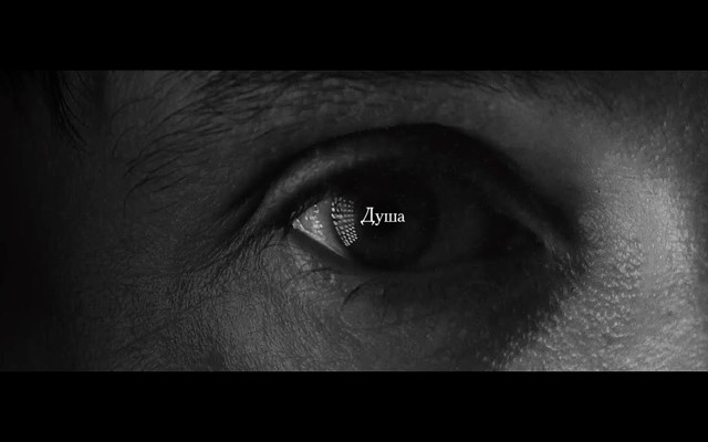 Дельфин-Душа