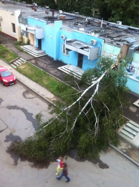 повезло так повезло...