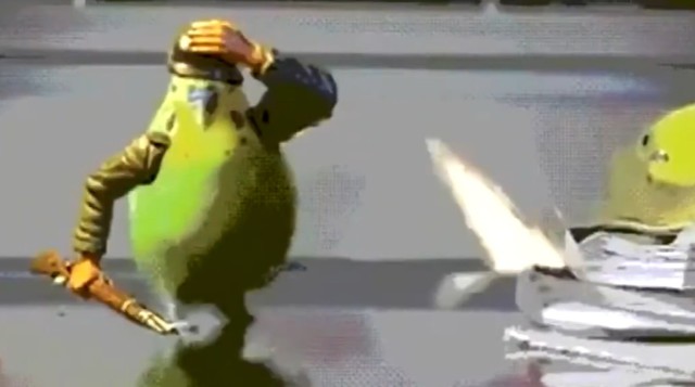 Лучшие приколы #19