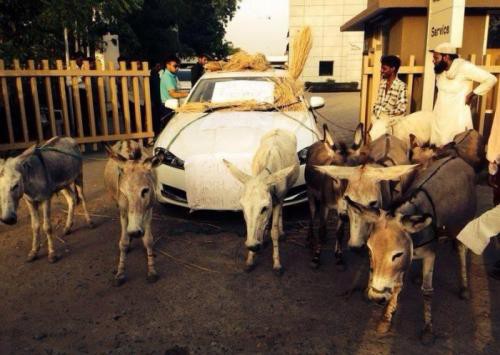 Что лучше — осел или авто Jaguar XF за $83000