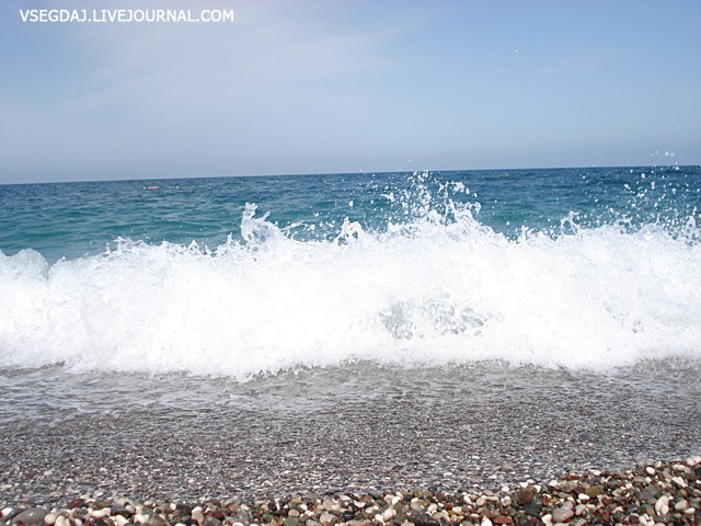 Что привозят из отпуска