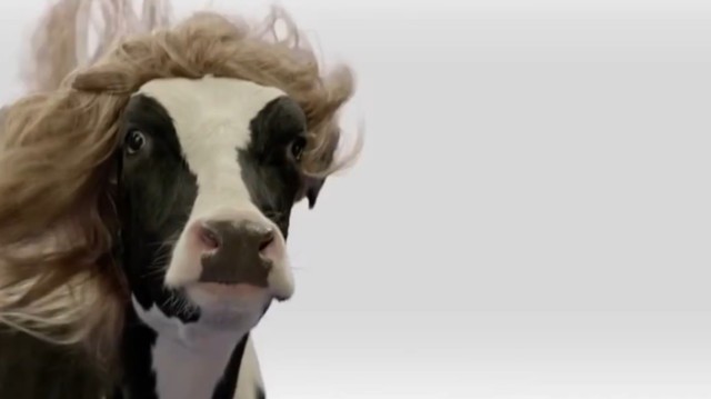 Лучшие приколы #21