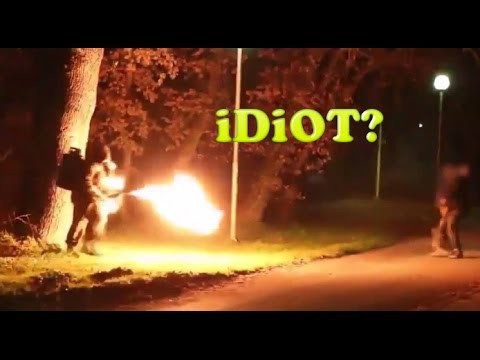 Абсурд и позитив