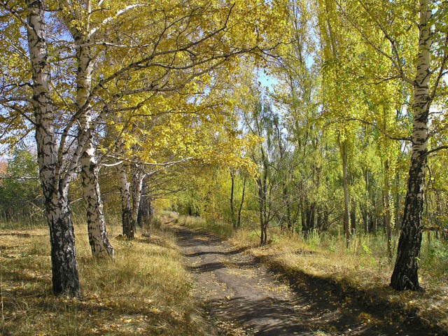 Удивительная природа России. (Видеоклип)