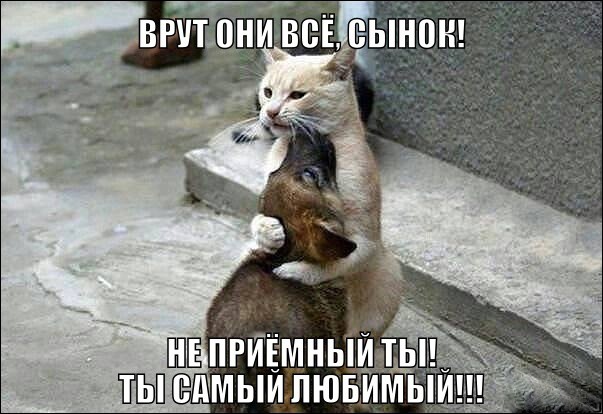 Фишкина солянка за 29.06.2014